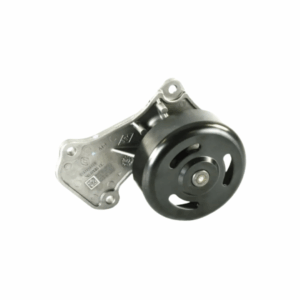 Bomba Agua Logan Kwid Sandero 210102662r
