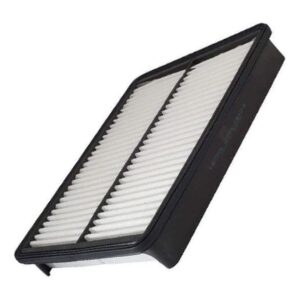 Filtro Ar Carro Carnival 3.5 V6 24V EX 12/... 3.8 V6 06/...