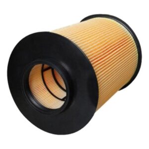 Filtro Ar Carro Focus 2.0 16V 2009 em diante